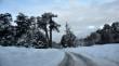 Cerca de 140 personas se encuentran aisladas en Cunco y Villarrica a raíz de las nevadas