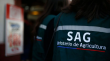 SAG suspendió importaciones de productos avícolas desde Argentina por brote de influenza aviar “altamente patógena”