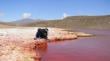 Científicos de la UA destacan en congreso latinoamericano por investigaciones en ecología microbiana del Desierto de Atacama