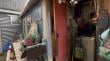 Ladrones olvidaron perro con el que cometieron un robo en una casa de Castro