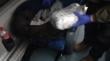 Detienen a pasajero de bus que viajaba con más de 5 mil dosis de drogas en San Nicolás
