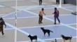 Detienen a dos personas tras riña en Plaza de Armas de Mejillones: Video fue viralizado