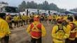 Conaf convoca a 197 brigadistas para temporada de incendios en Ñuble