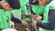 Más de 160 jóvenes de Alto Hospicio aprenden sobre medioambiente con proyecto &quot;Huerta Viva&quot;