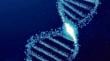 &quot;1000 Genomas&quot; busca secuenciar el ADN de la biodiversidad chilena