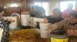 Prodesal Llanquihue capacita a pequeños agricultores en producción de hongos comestibles
