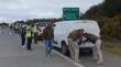 Coordinan controles en Chiloé para cubrir una treintena de eventos y evitar accidentes