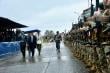 Pese a la lluvia la comunidad acompañó la Parada Militar en costanera de Valdivia
