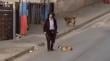 [VIDEO] Denuncian caso de maltrato animal en Forestal Alto: hombre arrastró a cachorro por la calle