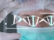 Webinar “Conocimiento desde el Sur: Ciencia, Salud y Sociedad” destacará aportes de la investigación y la gestión sanitaria en Chile
