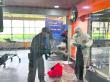 Guardias agredidos en supermercado se encuentran fuera de riesgo vital