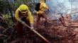Bomberos y Conaf planifican temporada de incendios forestales