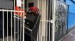 Retiran máquinas en casino de calle Egaña en Puerto Montt