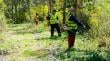 Concepción lanza campaña de prevención de incendios forestal: instancia incluye plan integral