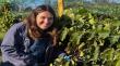 Científica iquiqueña investiga levaduras del desierto para crear vinos