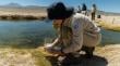 Tribunal Ambiental constata avances en conciliación por daño ambiental en Salar Punta Negra en Antofagasta