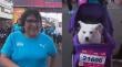 “Ella me rescató a mí”: mujer corrió la maratón de Viña en homenaje a su perrita de 18 años