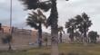 Alerta temprana preventiva por viento en comunas costeras de Antofagasta