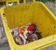 Municipio llama a dar un correcto uso a contenedores entregados para reciclaje en viviendas de Valdivia