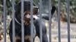 Corte Suprema confirma millonaria indemnización a hombre mordido por perros en motel de Quintero