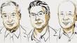 Joel Mokyr, Philippe Aghion y Peter Howitt ganan el Premio Nobel de Economía 2025