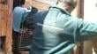 Detienen a sujeto por mantener 14 aves exóticas protegidas en vivienda del centro de Antofagasta