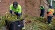 Para prevenir incendios: comenzó el retiro de maleza y basura en Concón
