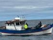 Operativo aéreo-marítimo frenó faenas de pesca ilegal de reineta en la región de Los Ríos