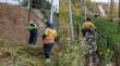 Concón comenzó trabajos preventivos de poda y cortafuegos de cara a la temporada de incendios