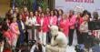 Bancada Rosa: Diputada Cid pide más equidad en acceso a tratamientos contra el cáncer en Atacama