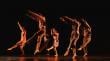 Escuela de Danza celebrará sus 20 años con funciones gratuitas en San Antonio