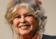 La actriz Brigitte Bardot sale del hospital y regresa a su casa en la Costa Azul francesa