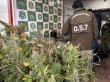 Desarticulan red criminal en Valdivia