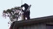 Programa municipal de limpieza de chimeneas beneficiará a 250 hogares de Puerto Varas