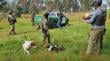 Dos cazadores de conejos fueron asaltados por encapuchado armado en Ercilla: delincuente mató a tres de sus perros