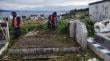 Quinchao: Realizan limpieza y mantención en el Cementerio Municipal