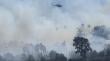 [VIDEO] Controlan incendio forestal en Olmué: afectó al menos 3,4 hectáreas