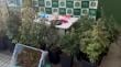En procedimiento por robo en vivienda: Carabineros desarma laboratorio clandestino de elaboración de drogas en Chillán