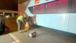 Detienen a extranjero en Purranque que transportaba droga en un bus