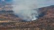 Incendio forestal está siendo combatido por Bomberos y Conaf en Papudo