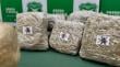 Incautan más de media tonelada de marihuana en Llay Llay: dos detenidos en la Ruta 5 Norte
