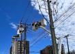 Saesa completó refuerzo de red eléctrica de Valdivia con cinco nuevas líneas de distribución