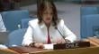 Chile por Venezuela en Consejo de Seguridad: "América Latina debe seguir siendo una zona de paz"