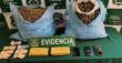Can 'Grisy' detectó drogas: OS7 Arica incauta 23 kilos de marihuana y cocaína en ruta internacional