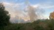 Incendio de pastizal afecta predio de la Ruta 5 al sur de Osorno
