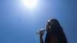 Por calor intenso: Senapred declara Alerta Amarilla para las provincias de Quillota, San Felipe, Los Andes y Petorca