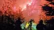 Municipio de Puerto Montt se querellará por incendio forestal en el Parque Vivero Alerce