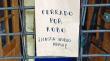 Detuvieron a presunto involucrado en saqueo a céntrico local comercial de Puerto Montt