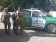 Detienen a sujeto que había robado camioneta y especies en Angol