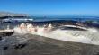 Hallan ballena fin muerta en Paquica Norte cerca de Tocopilla